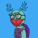 TTSTurtle2532