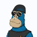 ChilledKong1577