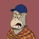 ChilledKong2836