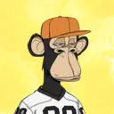 CardanoBoredApe642