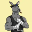 kangaroofightsociety#4381