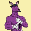kangaroofightsociety#4895