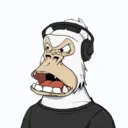 ChilledKong7853