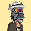 ZESTYZEBRA4074