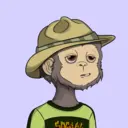 SocialApe1584