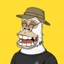 ChilledKong5043