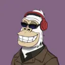 ChilledKong8337