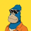 ChilledKong1362