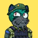Bodhi_0147
