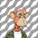 CardanoBoredApe475