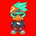 WRDUCKD2564