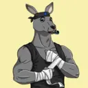kangaroofightsociety#4201