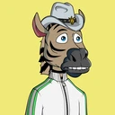 ZESTYZEBRA501