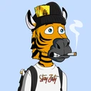 ZESTYZEBRA5427