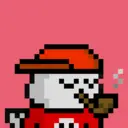 pixel seal 2027