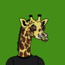 GenuineGiraffe_2672