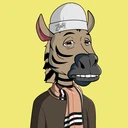 ZESTYZEBRA796
