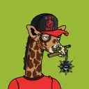 GenuineGiraffe_0606