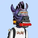ZESTYZEBRA2355