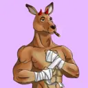 kangaroofightsociety#1576