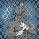 kangaroofightsociety#262