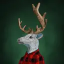 StagAlliance2514