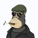 ChilledKong7840