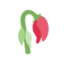 🥀