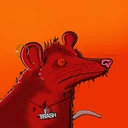 Possum #3505