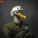 BredGull264