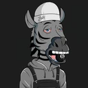 ZESTYZEBRA3287