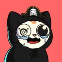crycat1060