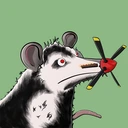 Possum #3937