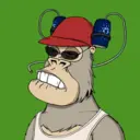 ChilledKong7541