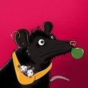 Possum #2803