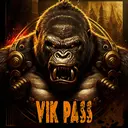 VIKPass100