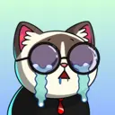 crycat513