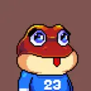 Frogs311