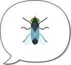 ST1_@t#h:wqor¡,v3|T