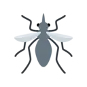 🦟