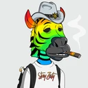 ZESTYZEBRA4201
