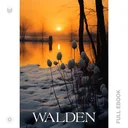 Walden375