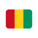 🇬🇳