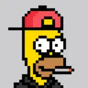 HomerPunks4737