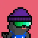 pixel seal 1718