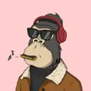 ChilledKong2817
