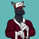 kangaroofightsociety#1069