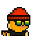 pixel seal 2231