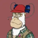 ChilledKong3982