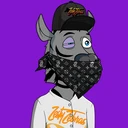 ZESTYZEBRA3181